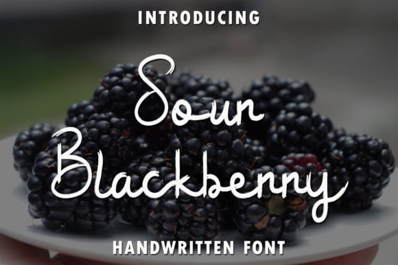 Sour Blackberry Font for Web Design